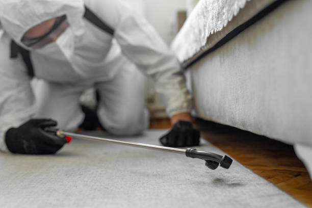 Professional Termite Control technician working in Lely, FL