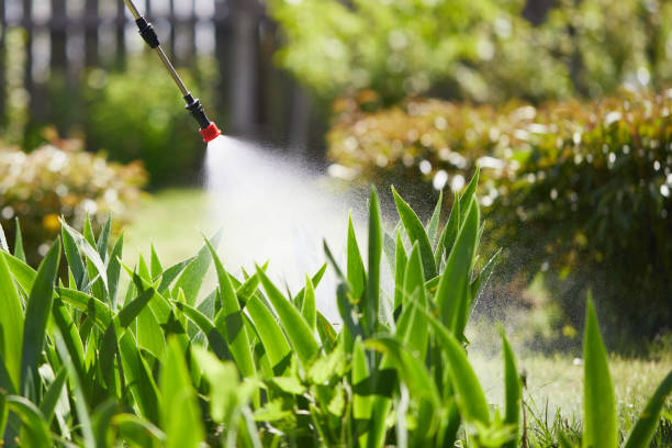 24/7 Emergency Termite Control experts in Lely, FL